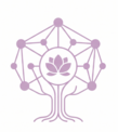 organizaciones.png